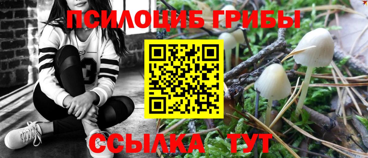 Псилоцибиновые грибы MAGIC MUSHROOMS Новороссийск