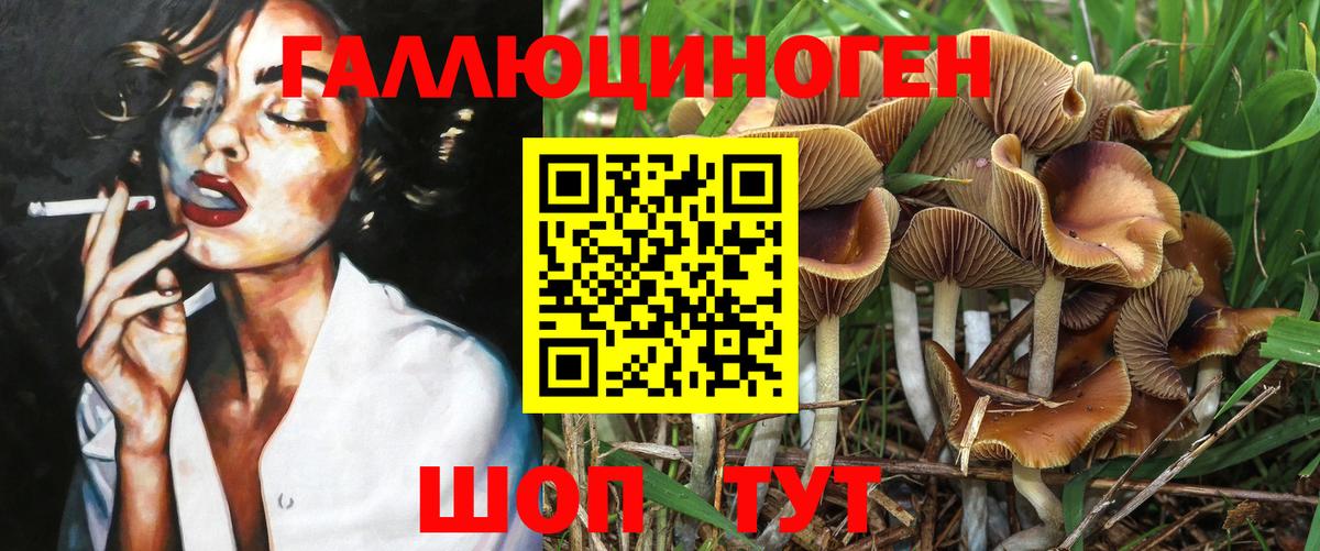 Галлюциногенные грибы Psilocybe  Галлюциногенные грибы ЛСД  Новороссийск  Вход с VPN 