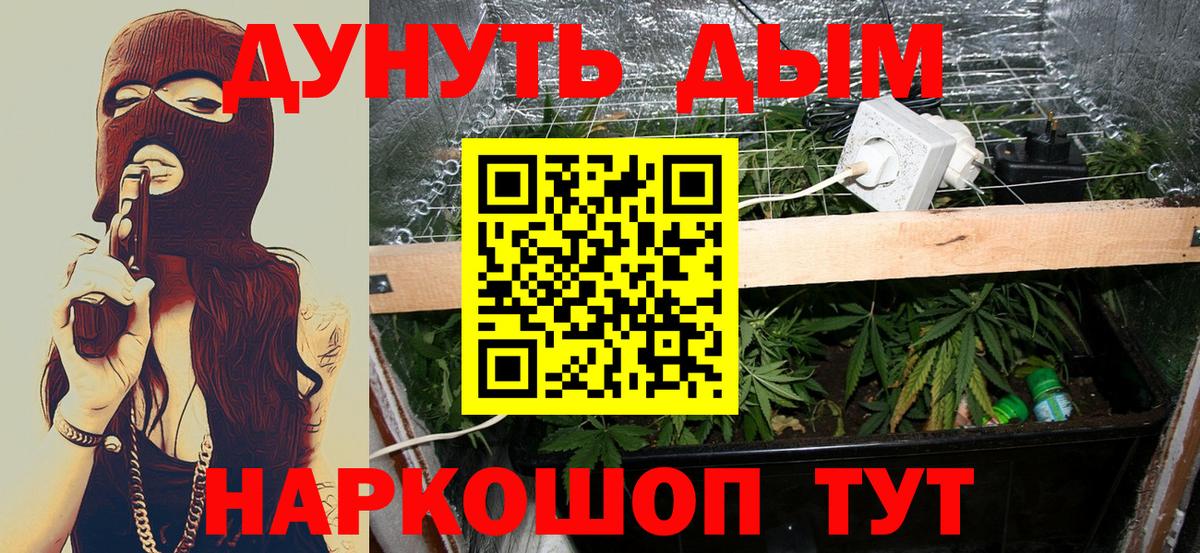 Бошки марихуана индика  Канабис Amnesia  Марихуана конопля  Вход с VPN  Новороссийск 